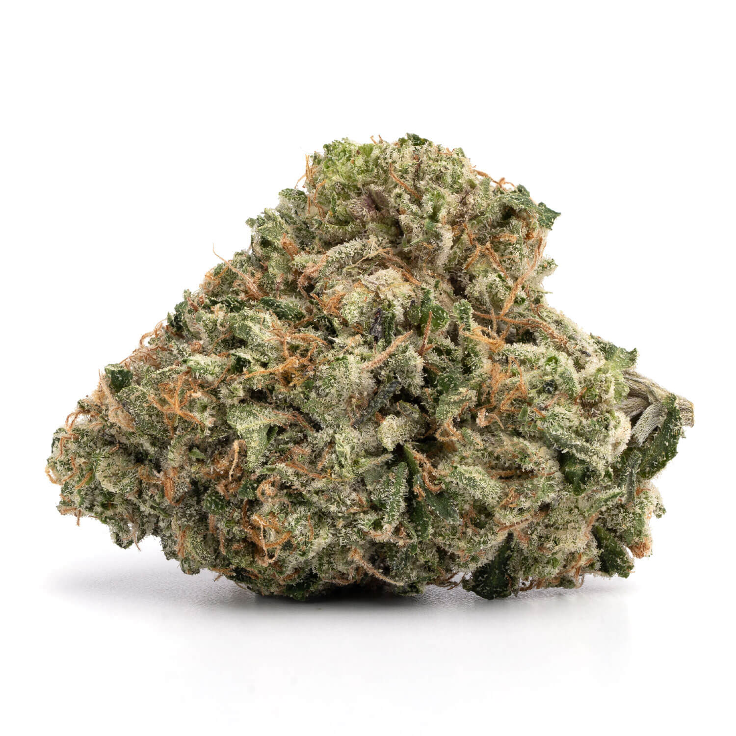 Trap Gas OG | Herb Approach | Buy Weed Online Canada | Dispensary Trap Gas OG | Herb Approach | Buy Weed Online Canada | Dispensary