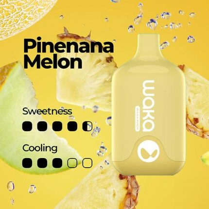 WAKA SMASH 6000 PUFF – PINENANA MELON - Just Vapes Shop Australia